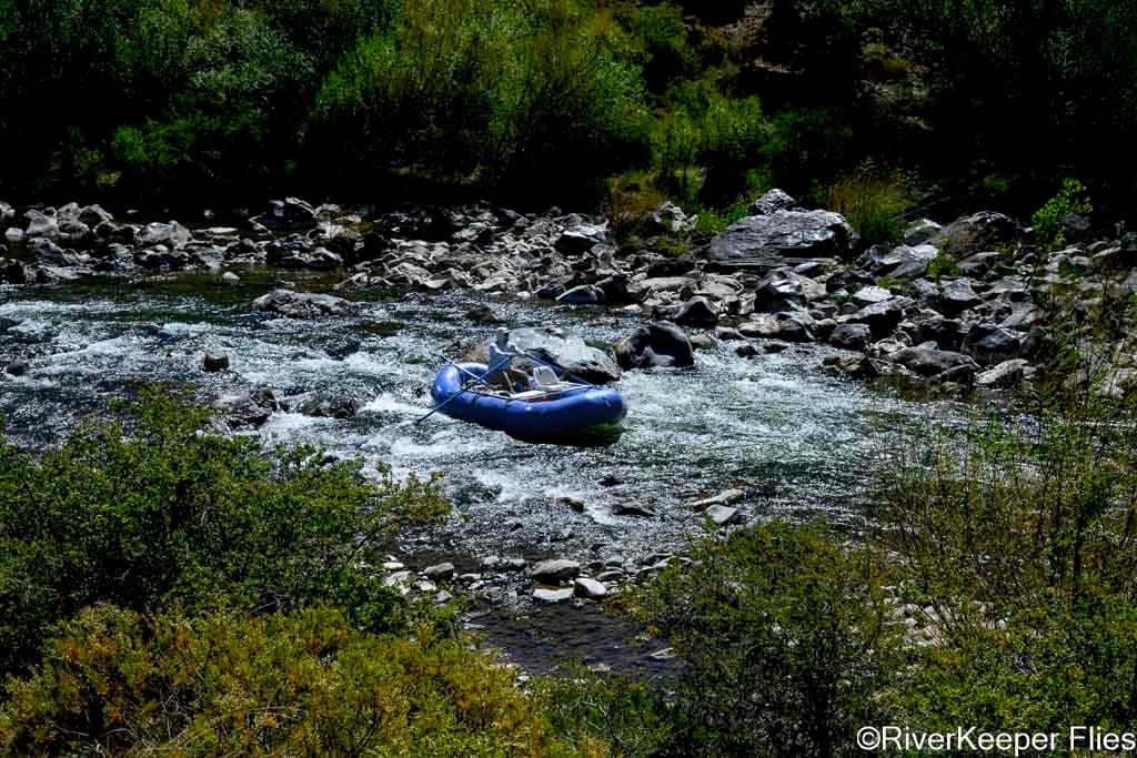 Floating Rio Trocoman | www.johnkreft.com