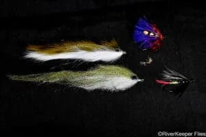 Fly Diversity | www.johnkreft.com