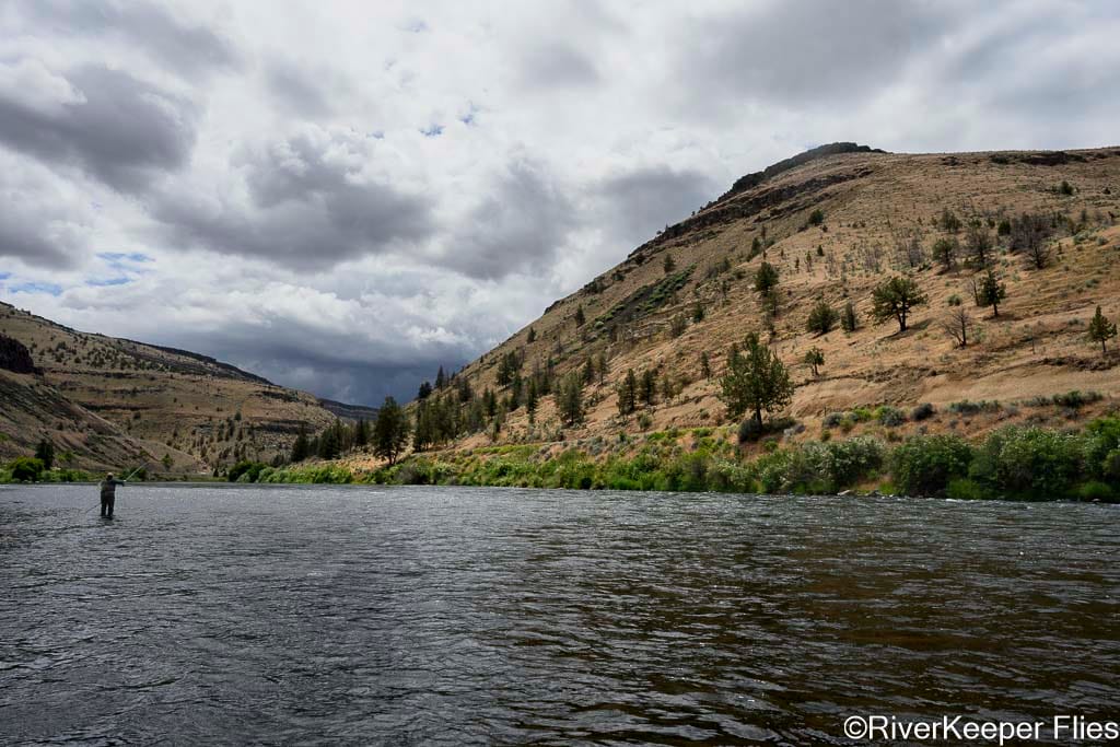 Fly Fishing the Lower Deschutes | www.johnkreft.com