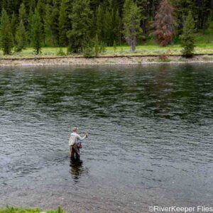 Fly Fishing the Yellowstone River in July 2023
