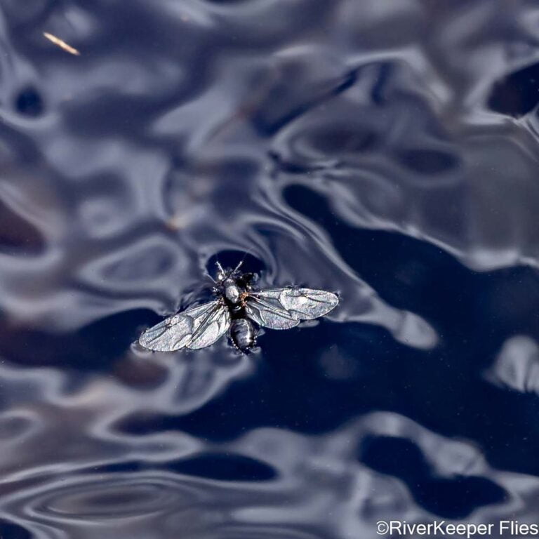 Hit or Miss on the River - RiverKeeper Flies