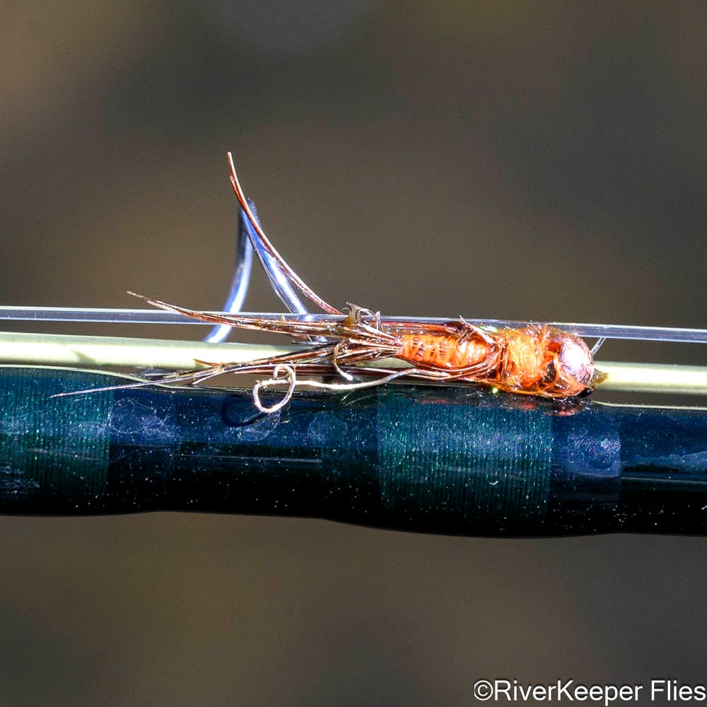 Frenchie Emerger - Rio Codihue - Day 6 | www.johnkreft.com