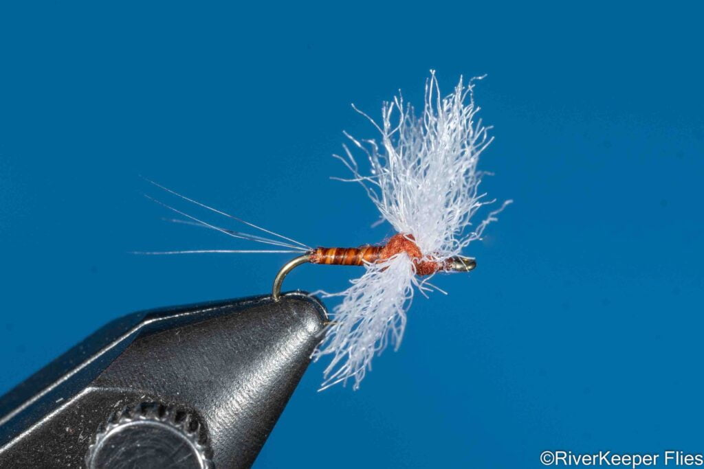 Galloup's Compara Spinner - Biot Body | www.riverkeeperflies.com