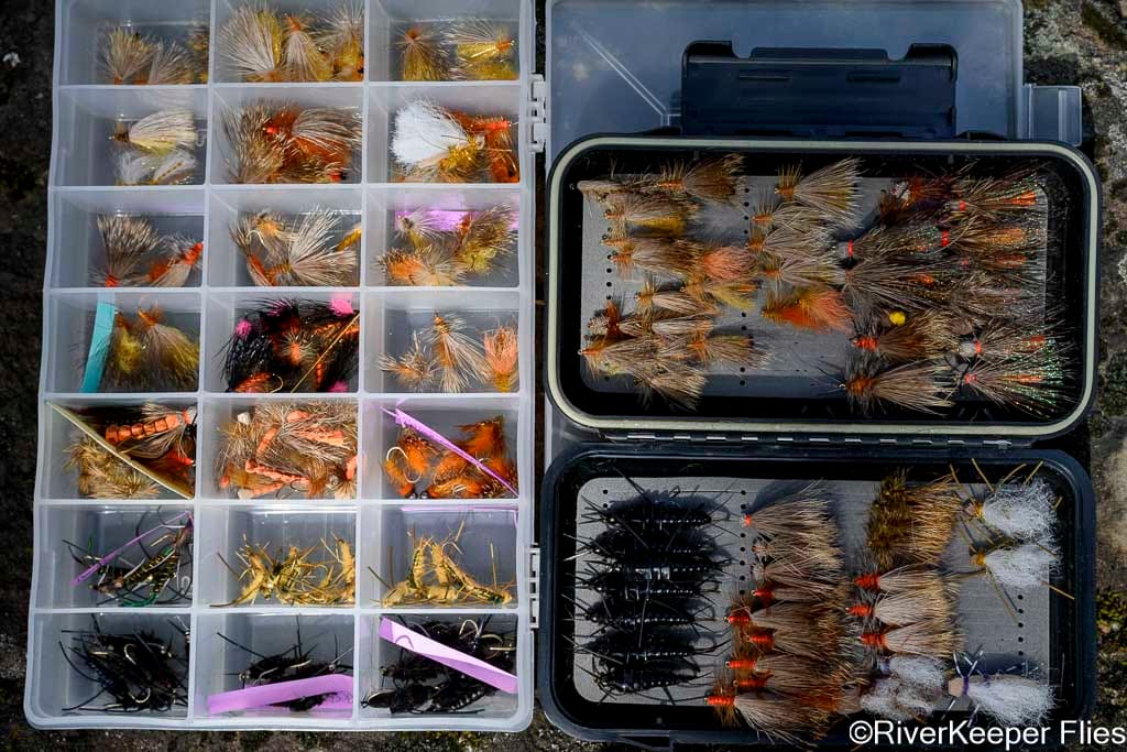 Golden Stones and Salmonflies | www.johnkreft.com