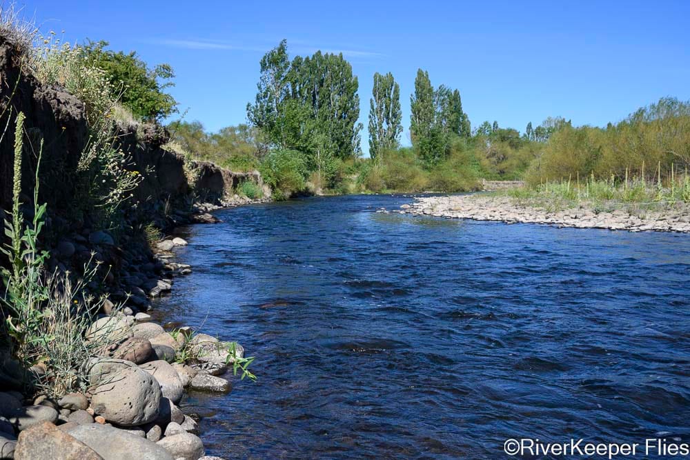 Grasshopper Run on Rio Codihue - Day 3 | www.johnkreft.com