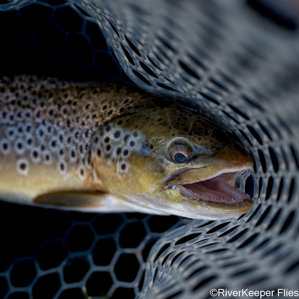 Green River Brown | www.johnkreft.com