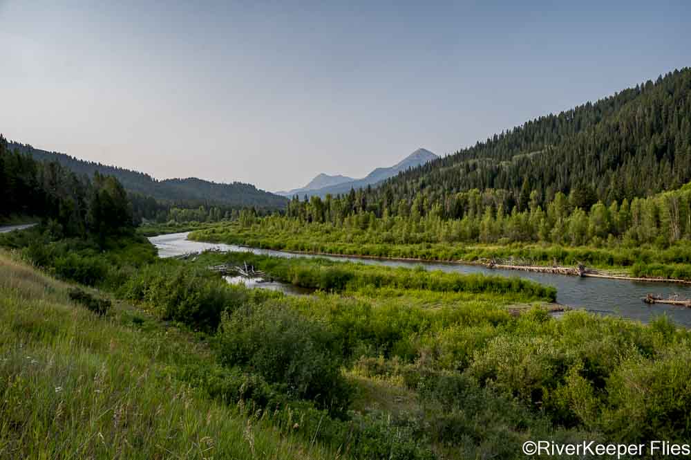 Grey's River 2024 Downstream View | www.johnkreft.com