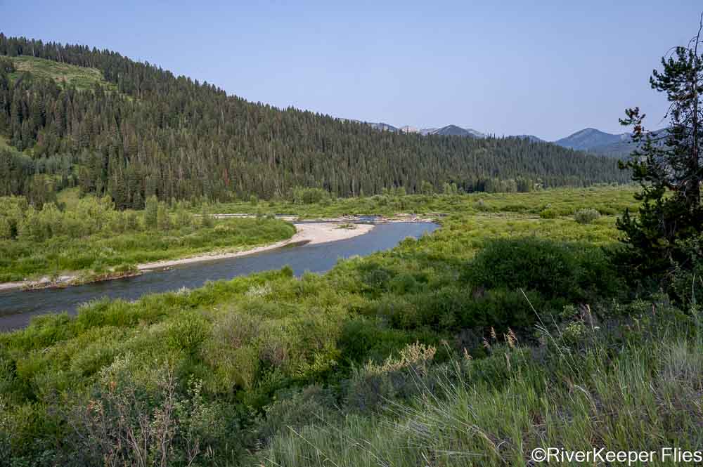 Grey's River 2024 Upstream View | www.johnkreft.com