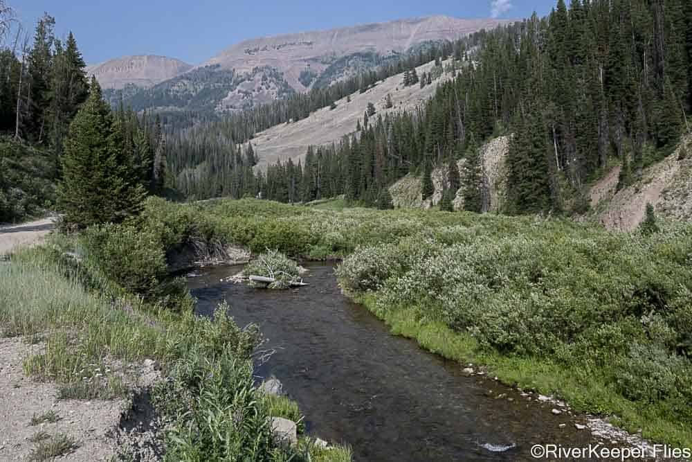 Fly Fishing Southwest Wyoming - RiverKeeper Flies