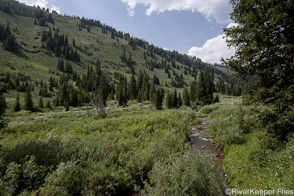 Headwaters of Smiths Fork River | www.johnkreft.com
