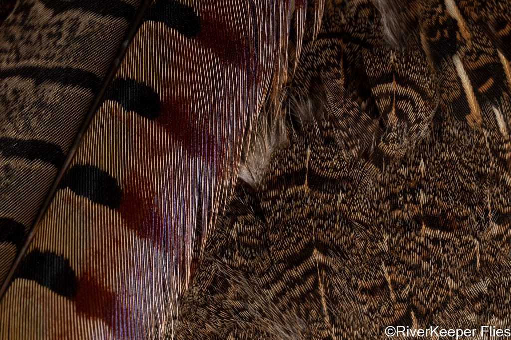 Hungarian Partridge and Pheasant Tail | www.johnkreft.com