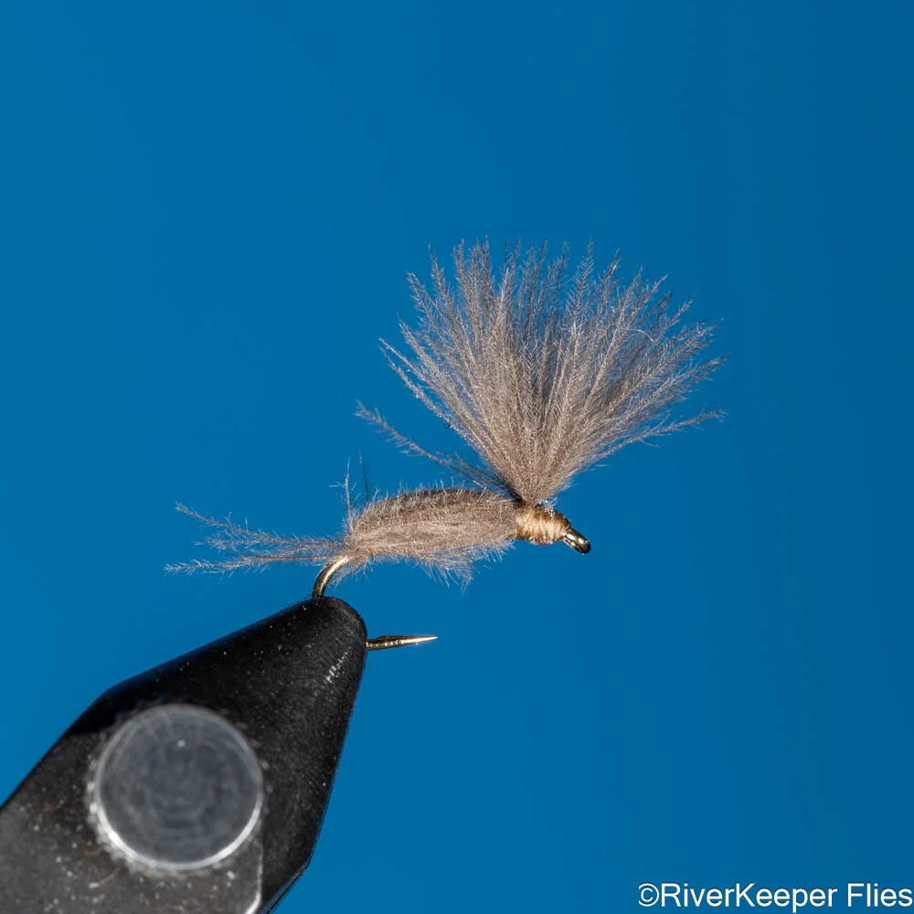 IOBO Humpy | www.johnkreft.com