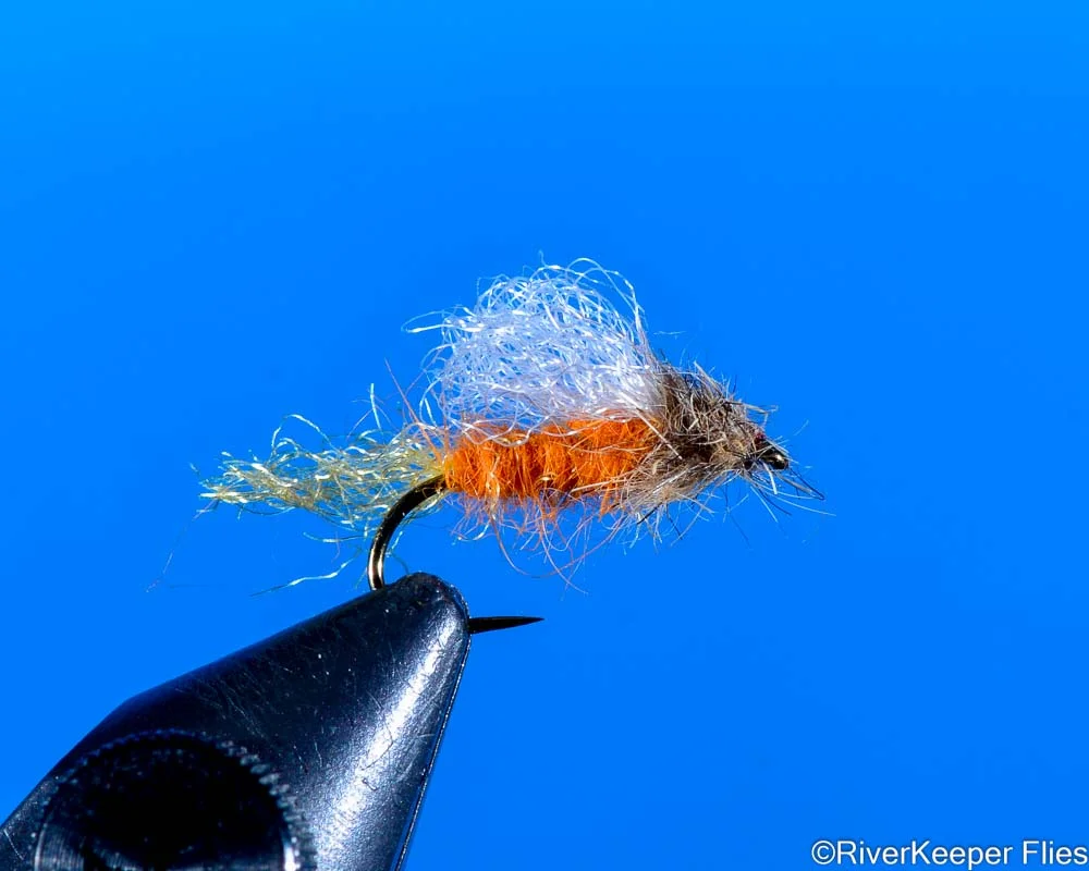 Iris Caddis - Amber | www.riverkeeperflies.com