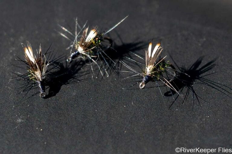 Jassid Flies | www.johnkreft.com