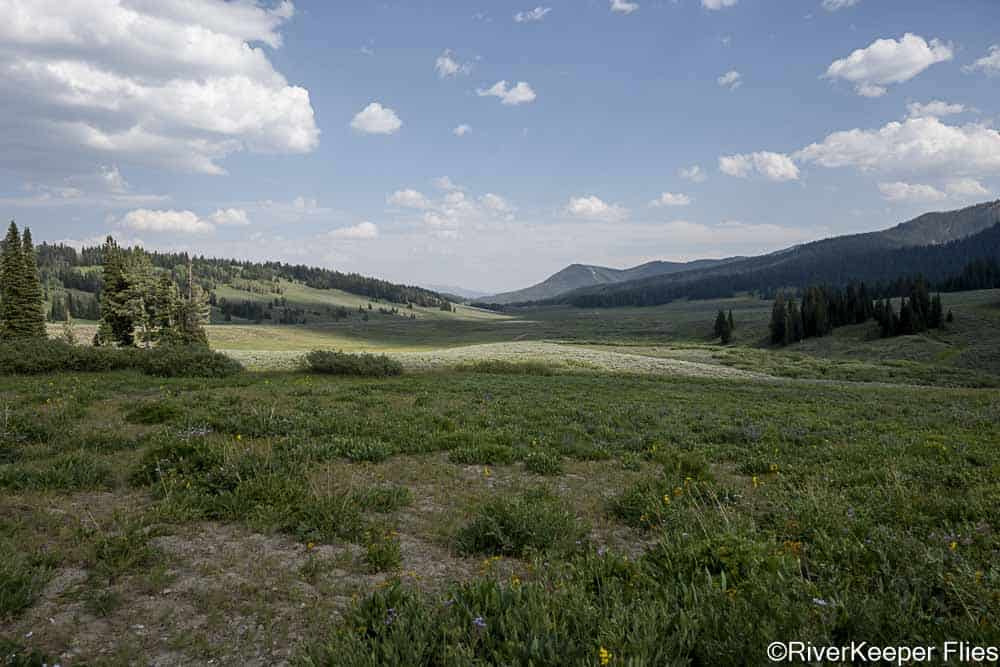 La Barge Creek Headwaters | www.johnkreft.com