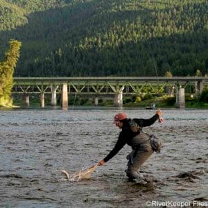 Landing Cutthroat on Clark Fork | www.johnkreft.com
