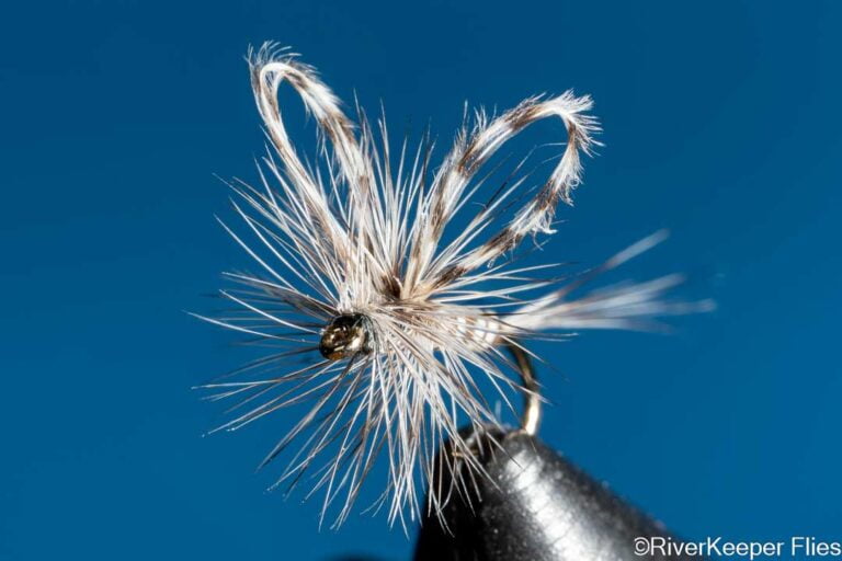 Loop Wing Dry Fly - Closeup | www.johnkreft.com