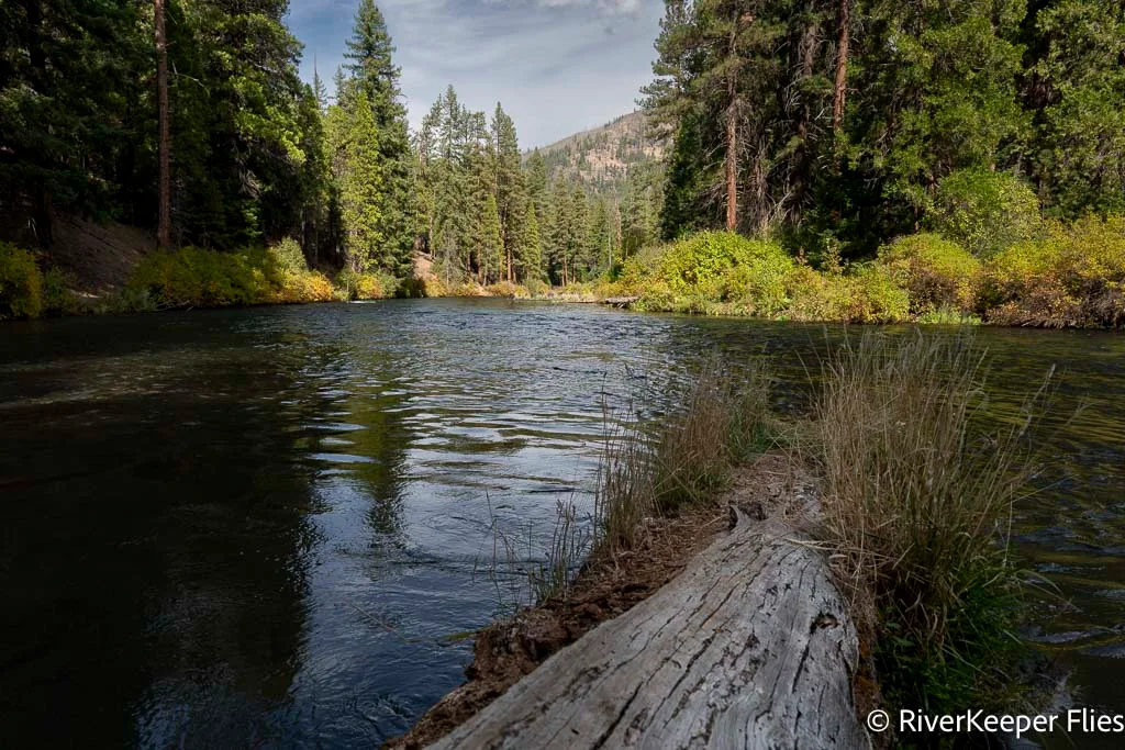 Lower Metolius in Late September | www.johnkreft.com