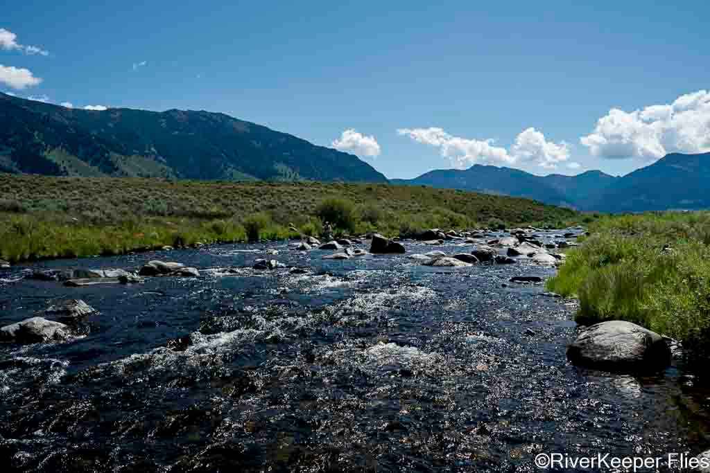 Madison River Side Channel | www.johnkreft.com