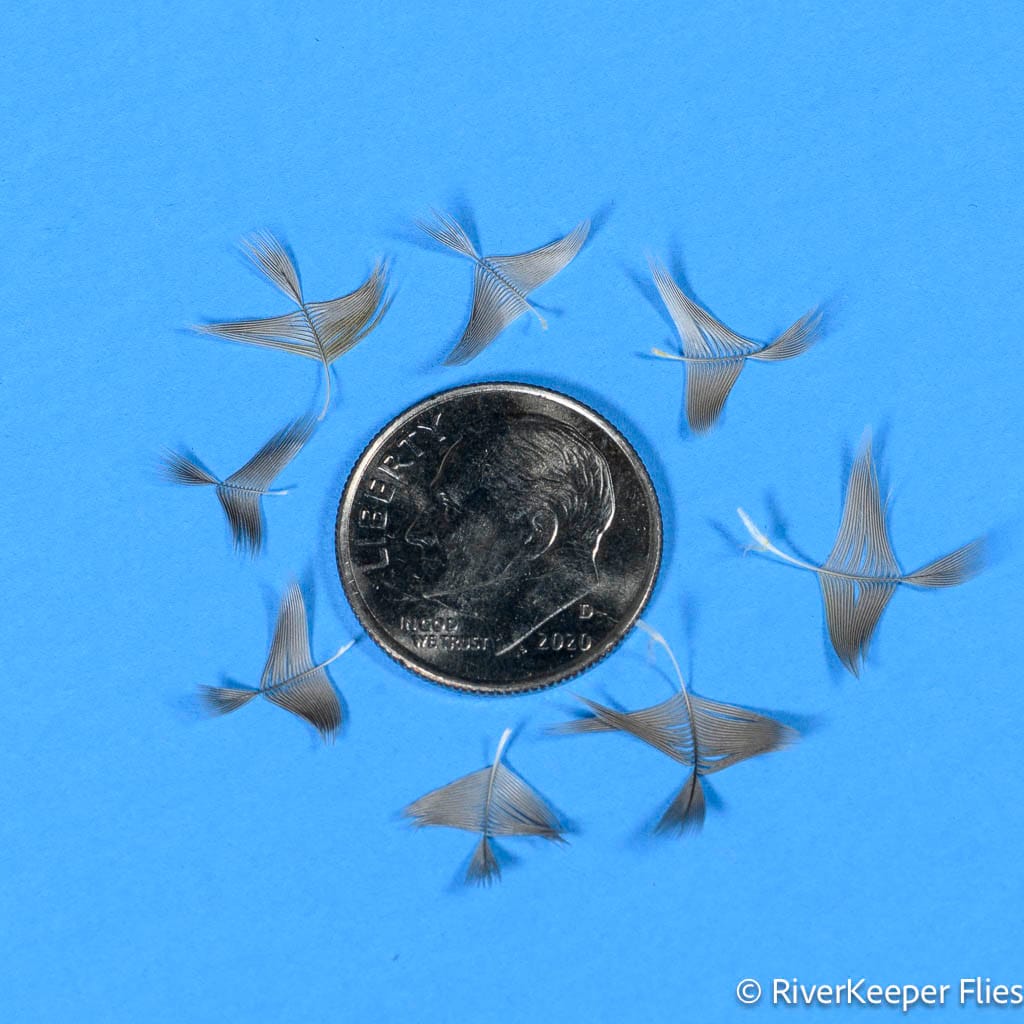Mallard Covert Feathers and Dime | www.johnkreft.com