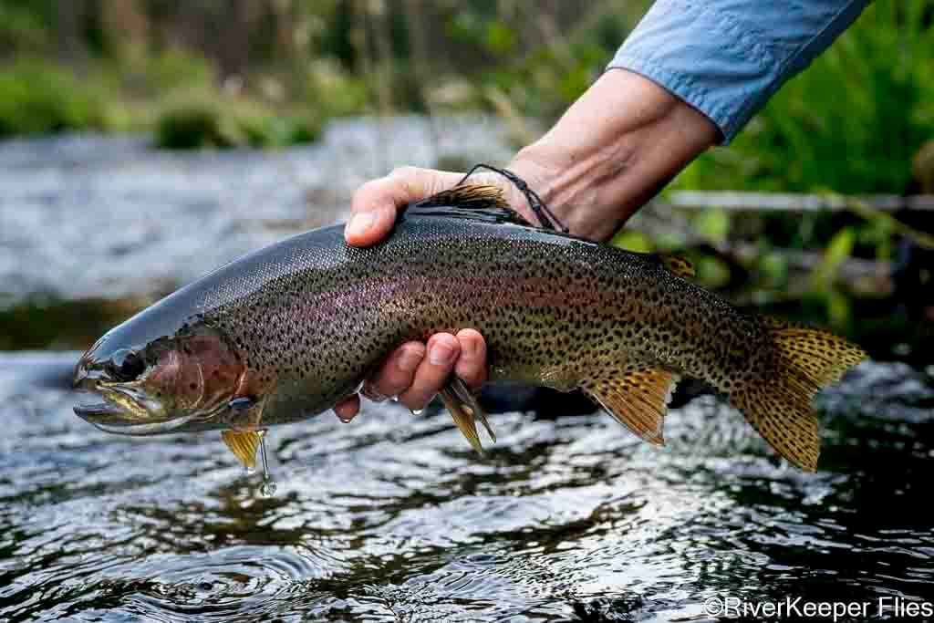 Metolius Rainbow | www.johnkreft.com