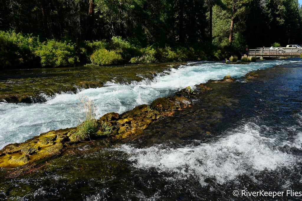 Metolius Rapids above Wizard Falls Hatchery Bridge | www.johnkreft.com
