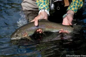 5 Tips to Improve Your Fly Fishing Success