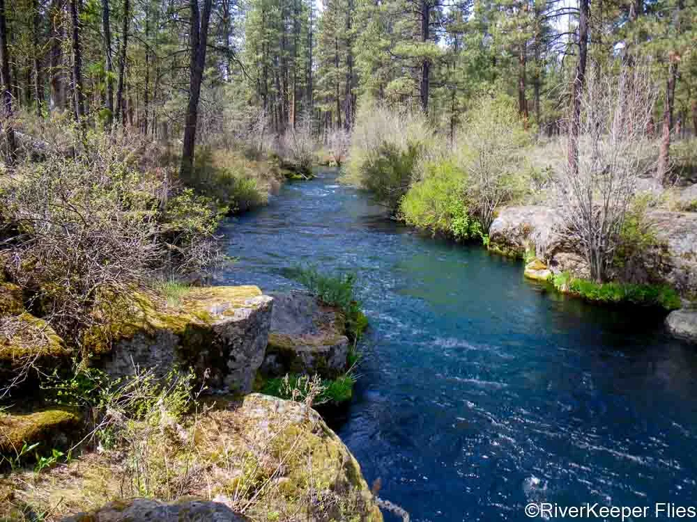 Metolius River Below Canyon Creek | www.johnkreft.com