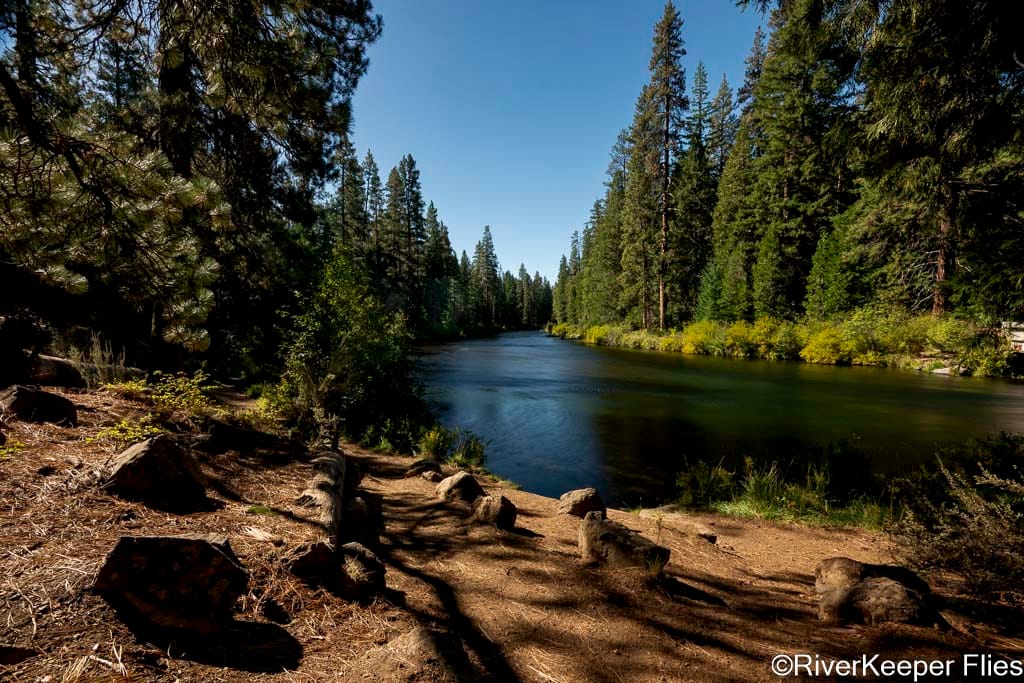 Metolius River Looking Upstream from Bridge 99 | www.johnkreft.com