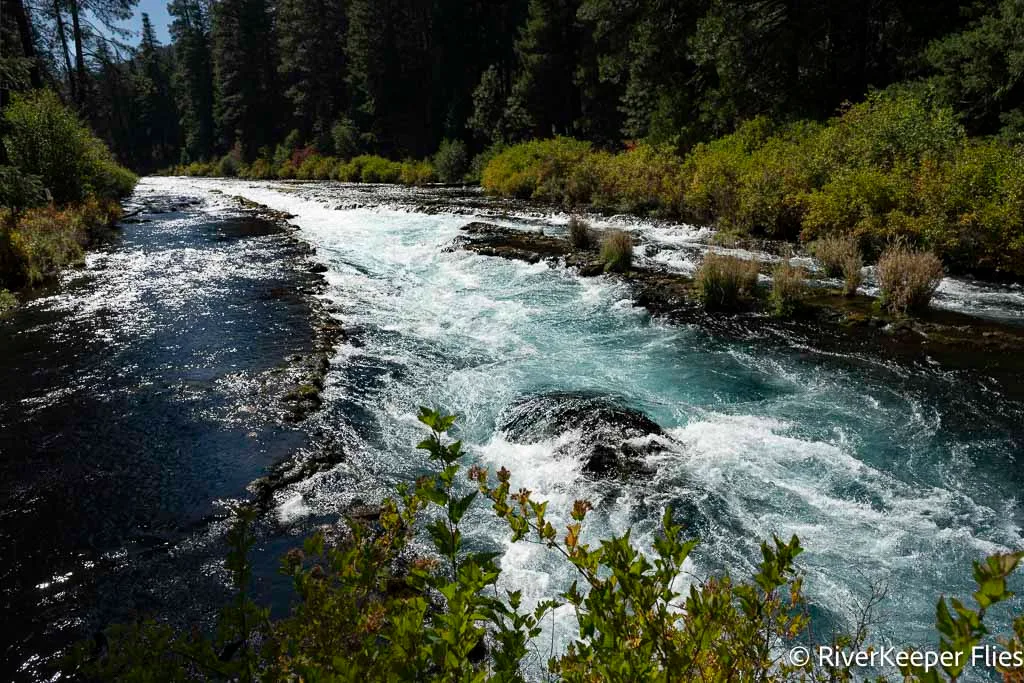 Metolius River at Wizard Falls Fish Hatchery - Late September | www.johnkreft.com