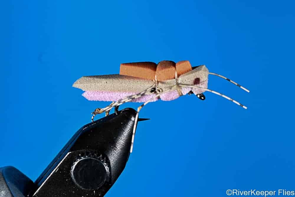 Morrish Hopper | www.johnkreft.com