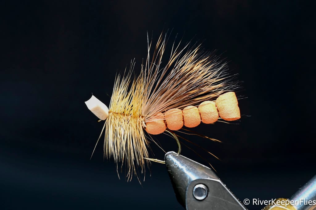 Morrish October Caddis | www.johnkreft.com