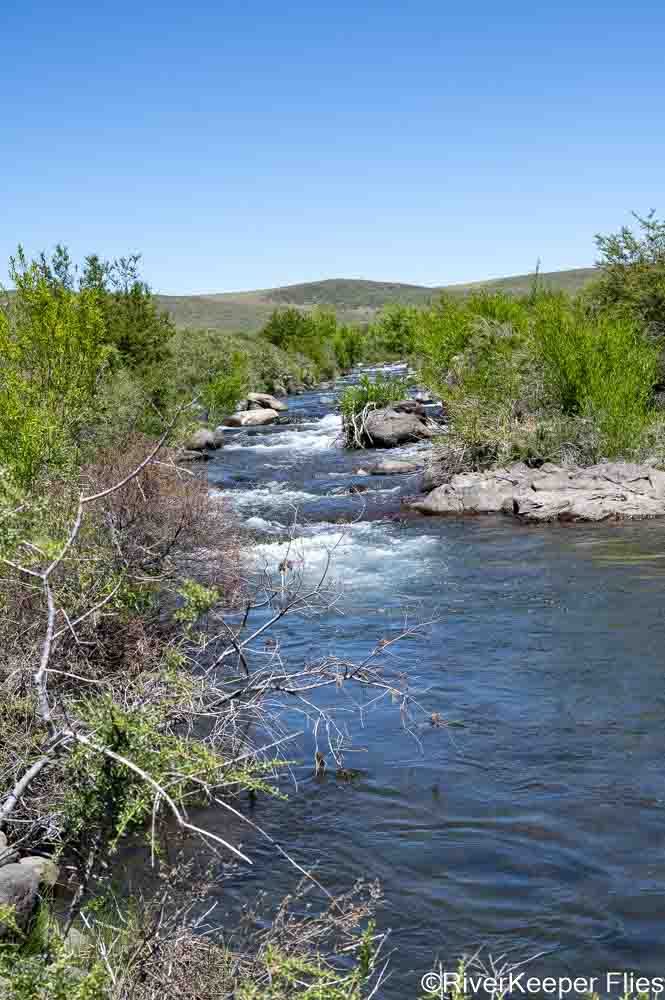 Ñireco Creek Run | www.johnkreft.com