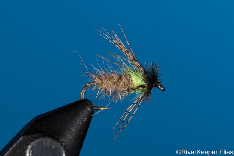 Peeking Caddis | www.johnkreft.com