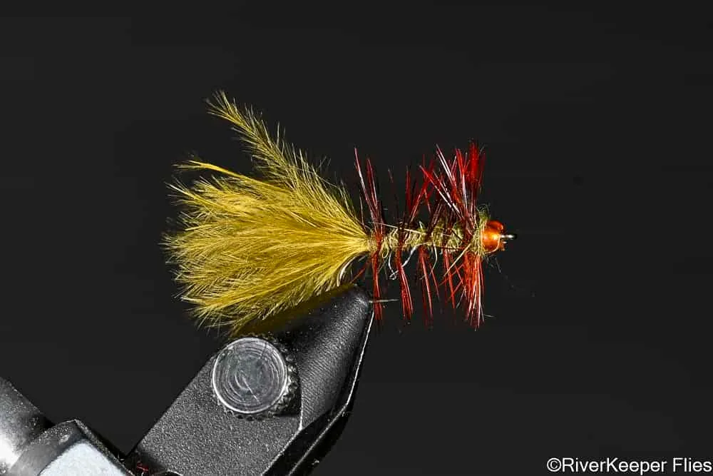 Pumpkin Head Leech | www.johnkreft.com