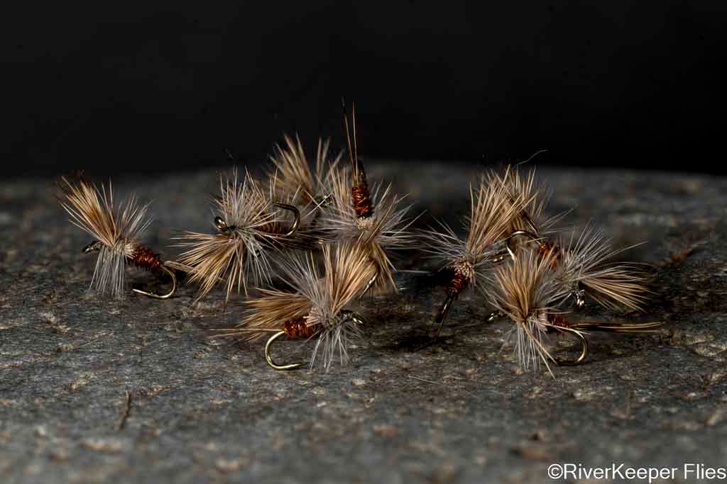 Quigley Cripple BWO #20 | www.johnkreft.com