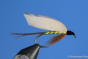 Ray Bergman’s Esmeralda | www.johnkreft.com