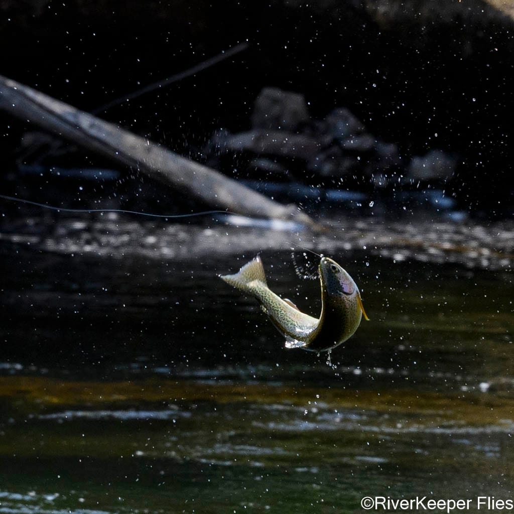 Rio Trocoman Rainbow Jumping | www.johnkreft.com