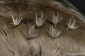 RiverKeeper Soft Hackle Cripples Flies on Mallard Wing | www.johnkreft.com