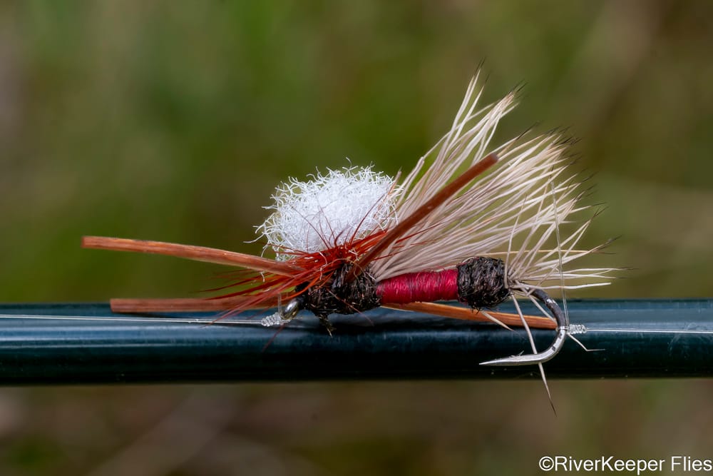 Royal PMX from SET Fly Fishing | www.johnkreft.com