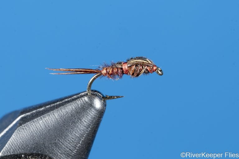 Sawyer's Pheasant Tail Nymph | www.johnkreft.com