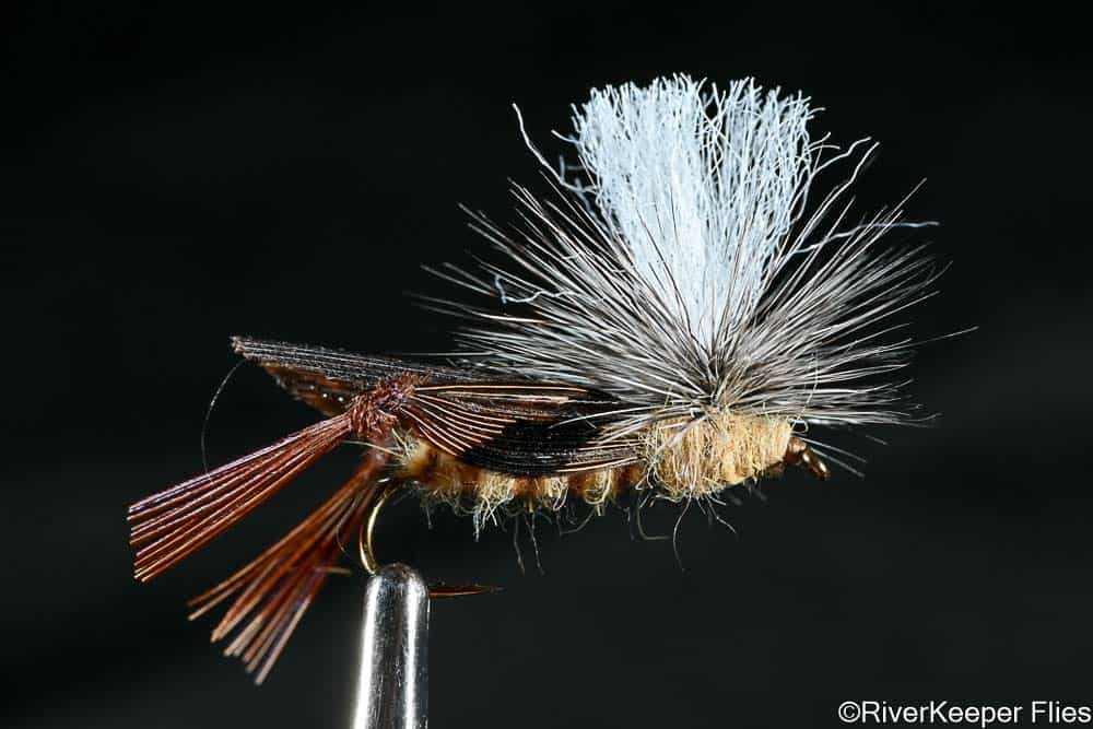Schroeder's Hopper | www.johnkreft.com