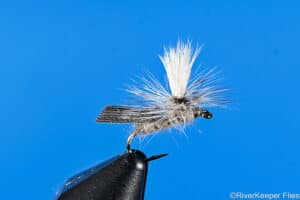 Schroeder's Parachute Caddis | www.johnkreft.com