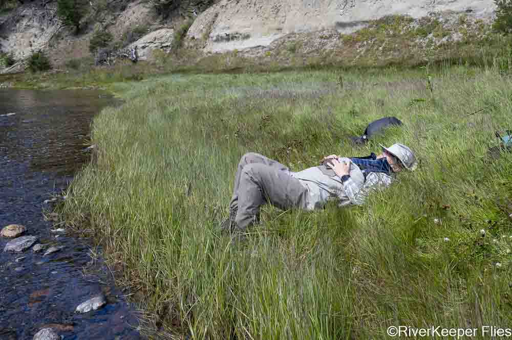 Siesta After Lunch | www.johnkreft.com