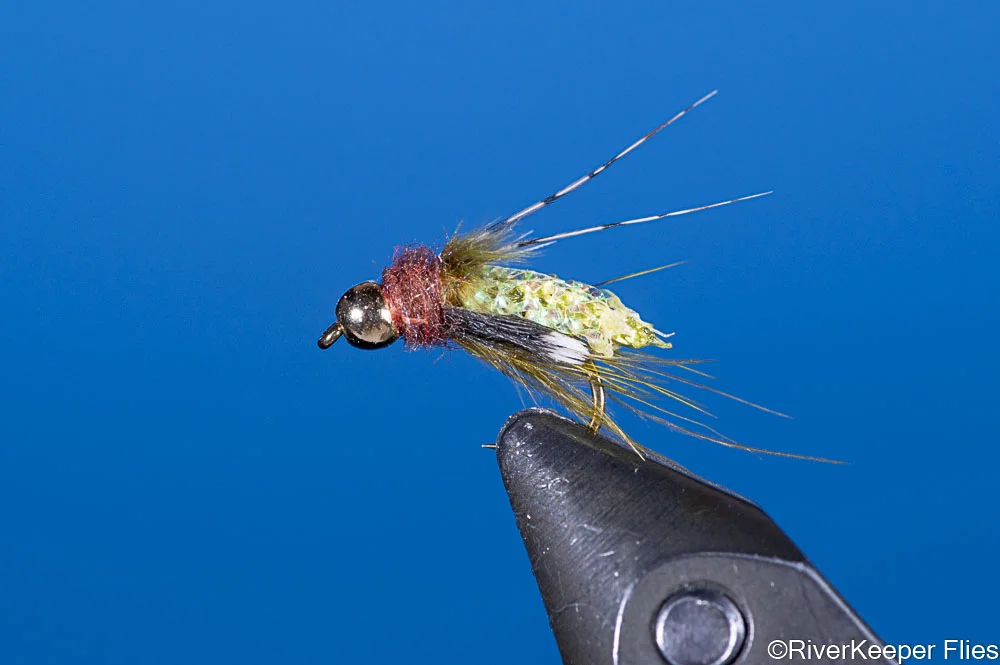 Silvey's Caddis Pupa - Olive | www.johnkreft.com