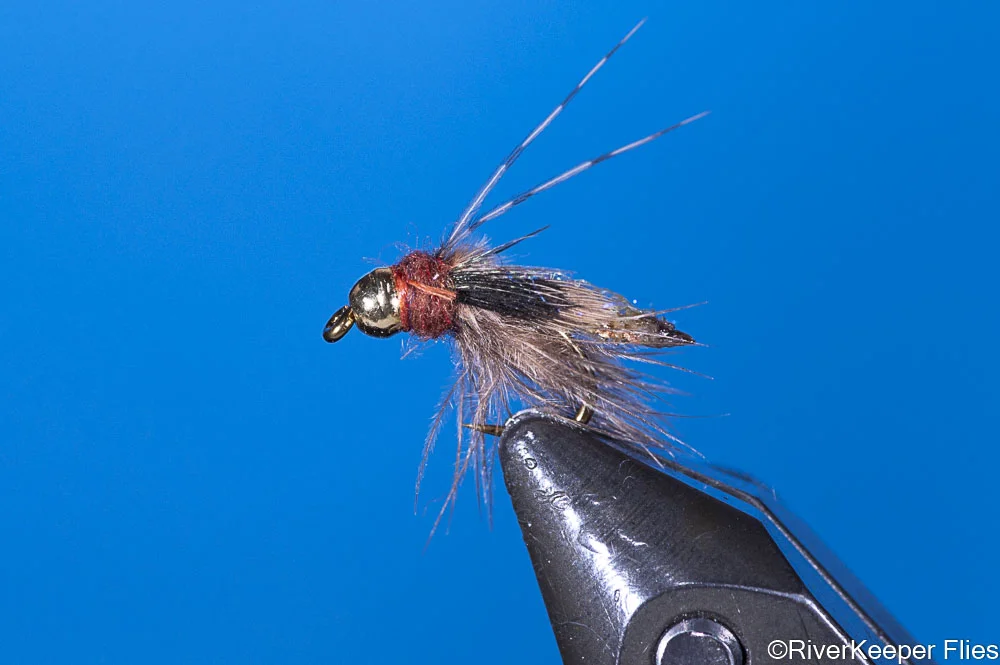 Silvey's Caddis Pupa - Tan | www.johnkreft.com