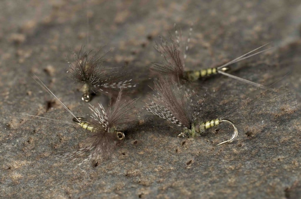 Stalcup CDC Biot Comparadun BWO | www.johnkreft.com