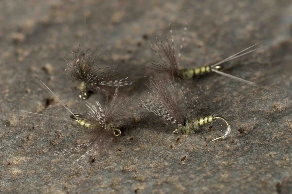 Stalcup CDC Biot Comparadun BWO | www.johnkreft.com