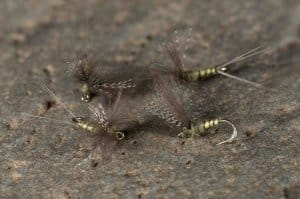 Stalcup CDC Biot Comparadun BWO | www.johnkreft.com