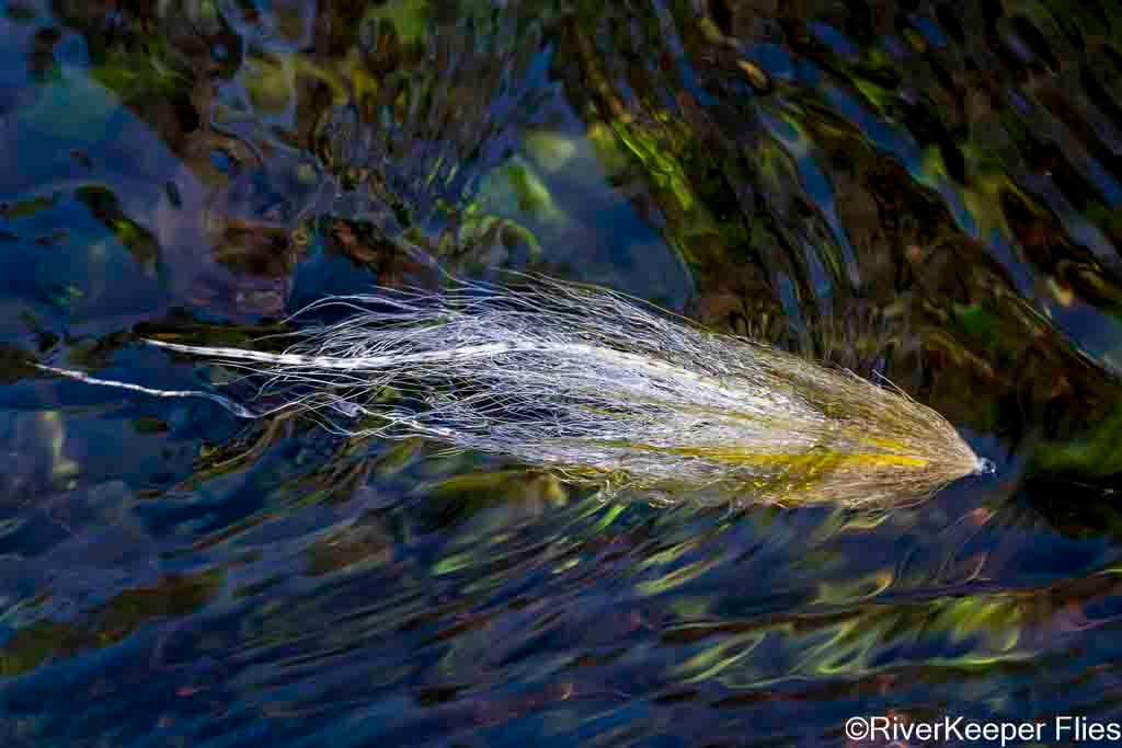 Swimming my First BEAST Fleye | www.johnkreft.com